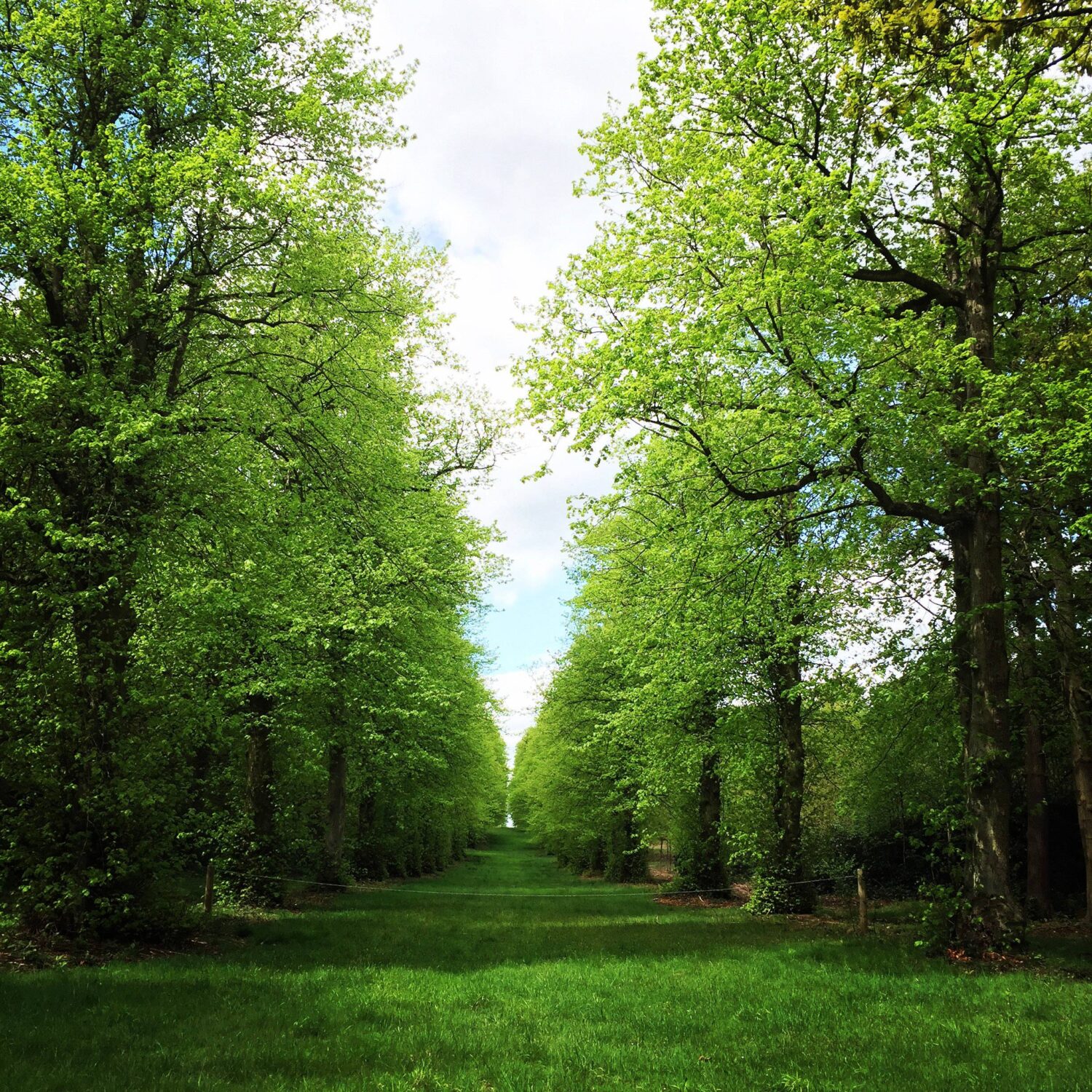 Bramham Park - Screen Yorkshire