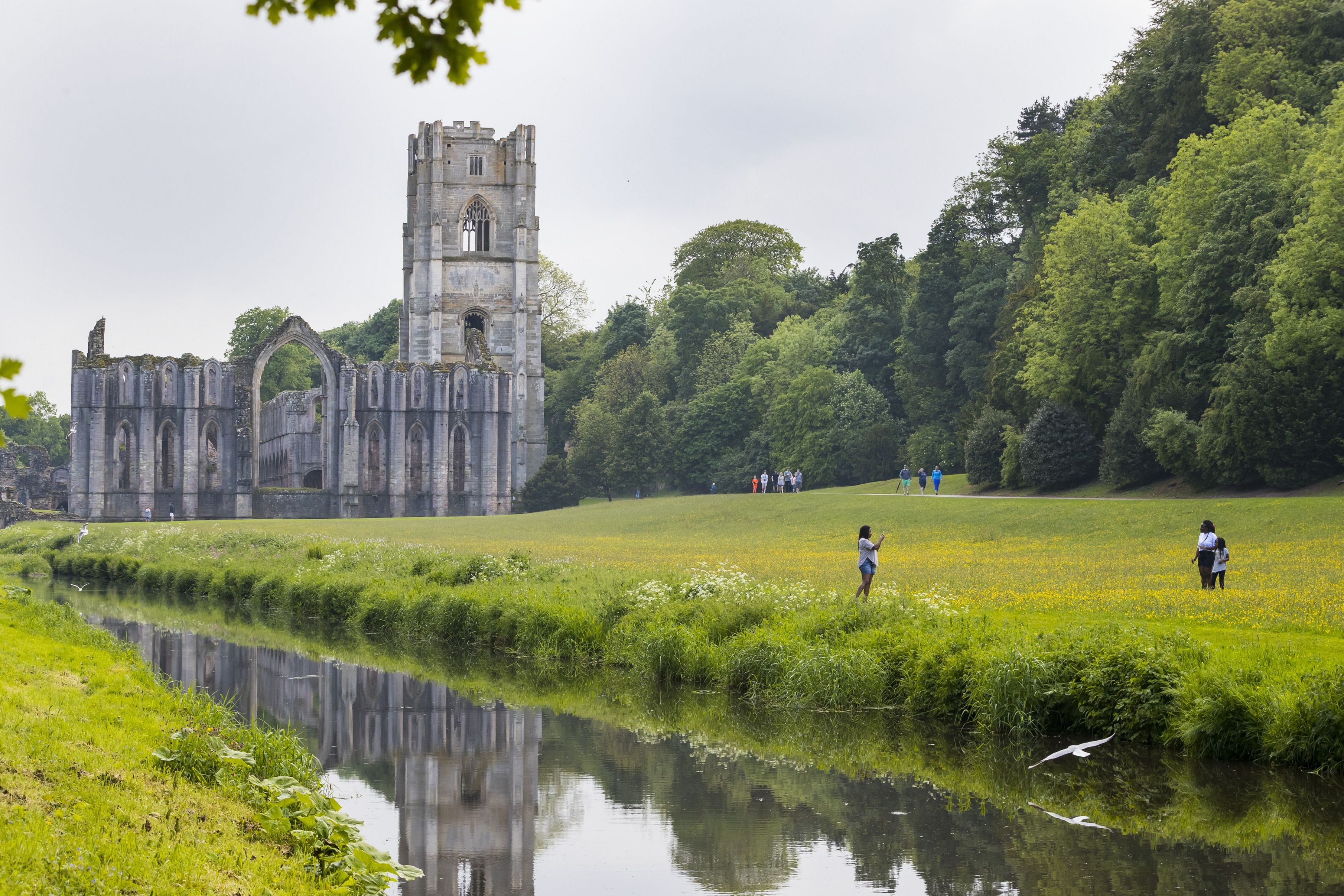 Fountains Abbey - Screen Yorkshire